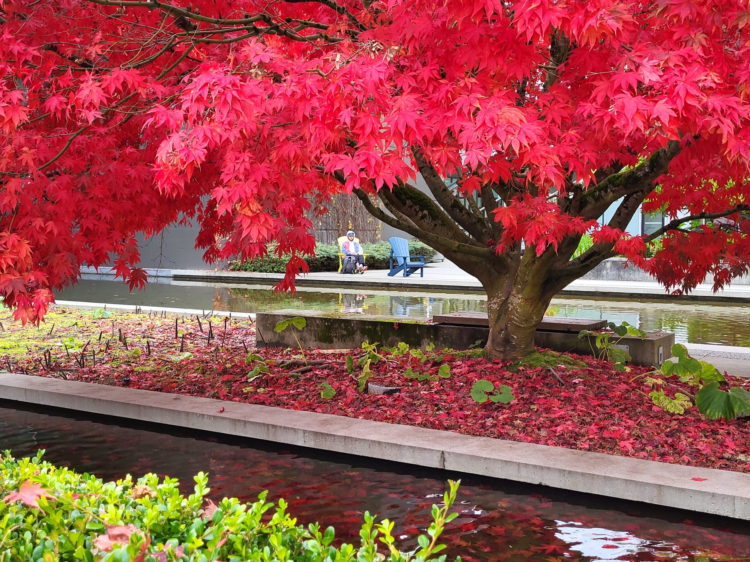 Ideas are Invitations✨.