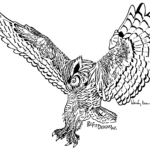 Owl-bw