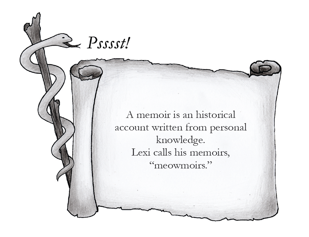 Lexi Meowmoirs