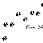 keen-paws