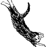 leaping cat