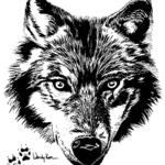 wolf-2