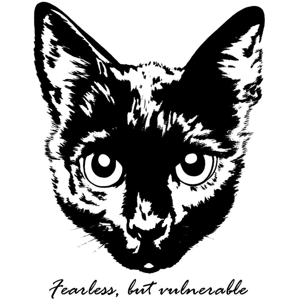Fearless cat